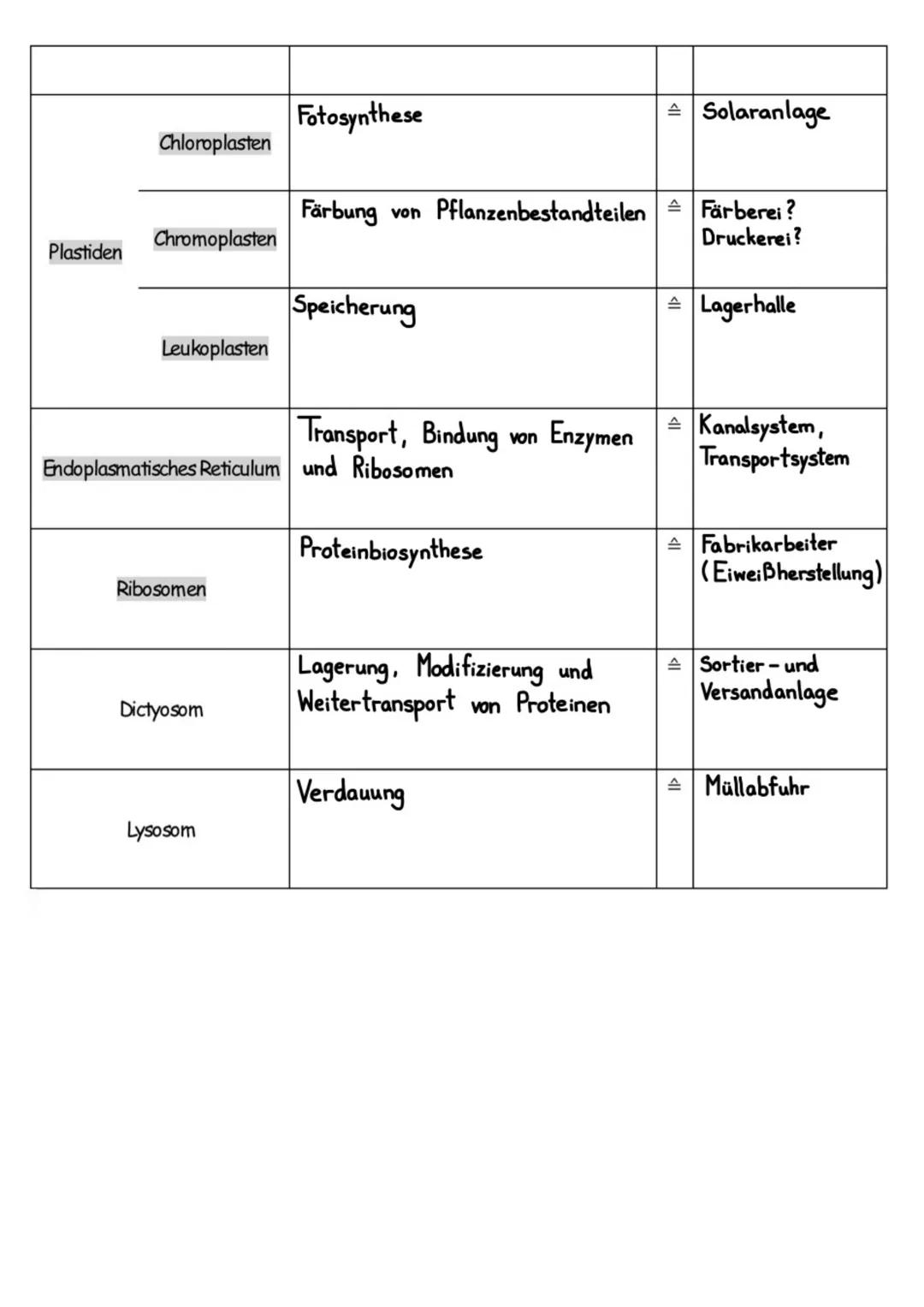 DIE ZELLE:
··
●
●
●
●
●
●
●
●
●
●
●
●
●
●
●
●
Cytoplasma
Chloroplasten
Zellkern
mit Nukleus
Golgi-Apparat
(Dictyosomen)
Vakuole
biologie
Chr