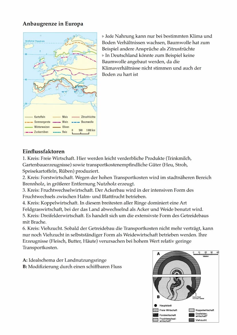 ERDKUNDE KURSARBEIT 11/2
Agrarsektor Bedeutung
Fourastié
Jean Fourastié entwickelte in den 1950er Jahren das Modell des Sektoren Wandels. Er