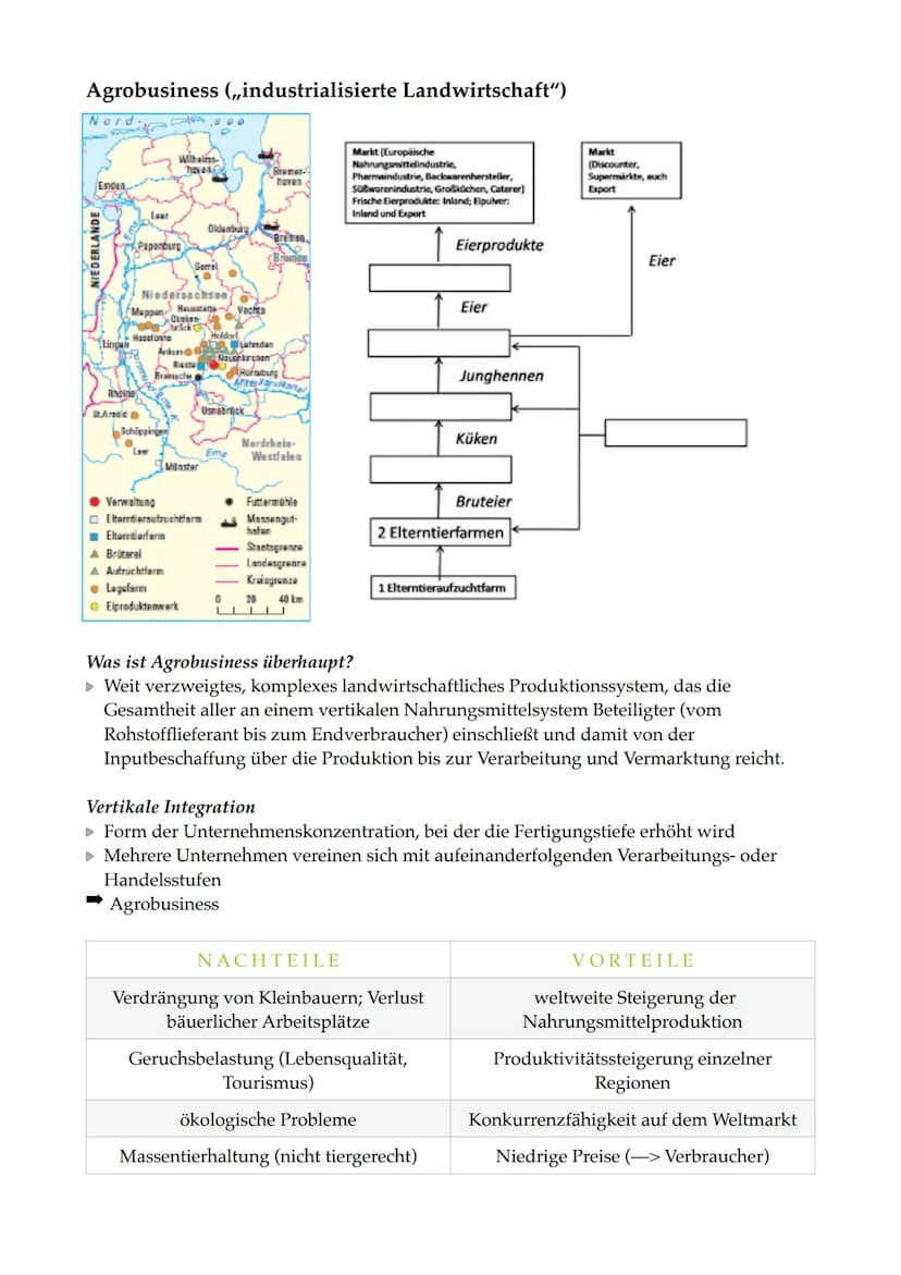 ERDKUNDE KURSARBEIT 11/2
Agrarsektor Bedeutung
Fourastié
Jean Fourastié entwickelte in den 1950er Jahren das Modell des Sektoren Wandels. Er