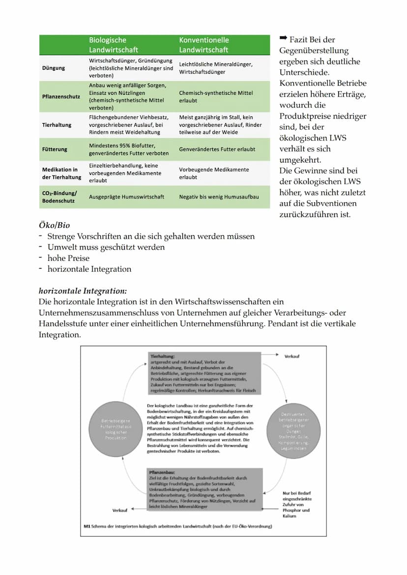 ERDKUNDE KURSARBEIT 11/2
Agrarsektor Bedeutung
Fourastié
Jean Fourastié entwickelte in den 1950er Jahren das Modell des Sektoren Wandels. Er
