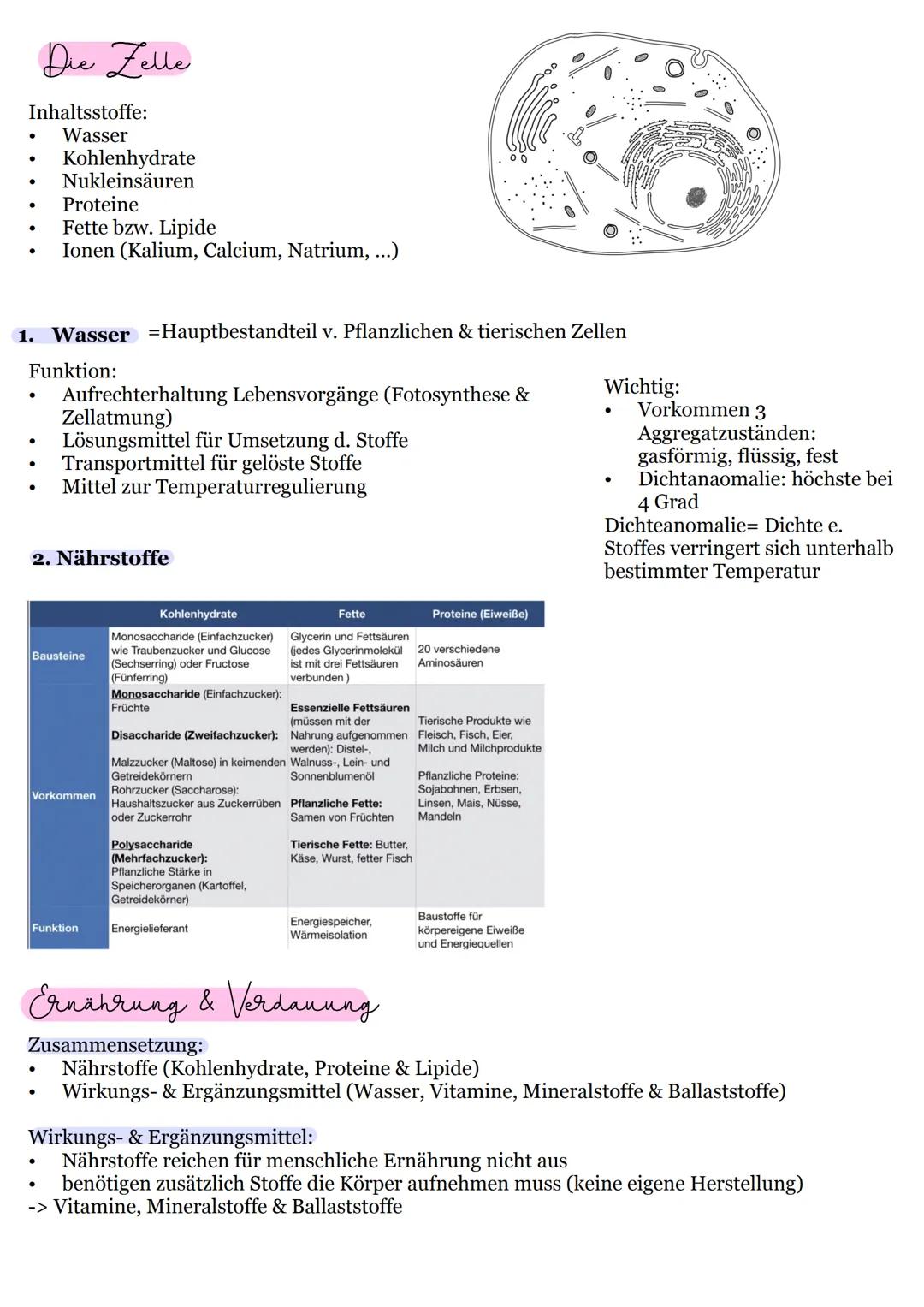 # Verdauung

Organe, Enzyme & Ernährung

Klasse 11 Enthalten in...

Beispiele

Funktion im Körper

Folgen einer Unter-
versorgung

Vitamine

