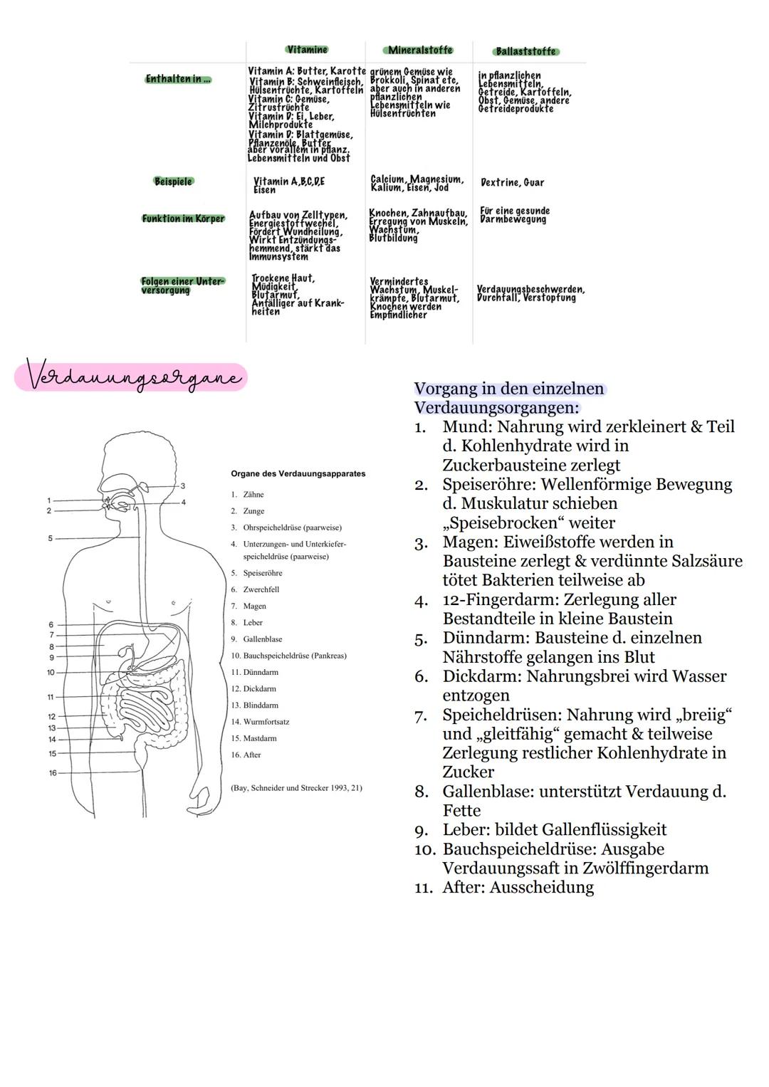 # Verdauung

Organe, Enzyme & Ernährung

Klasse 11 Enthalten in...

Beispiele

Funktion im Körper

Folgen einer Unter-
versorgung

Vitamine
