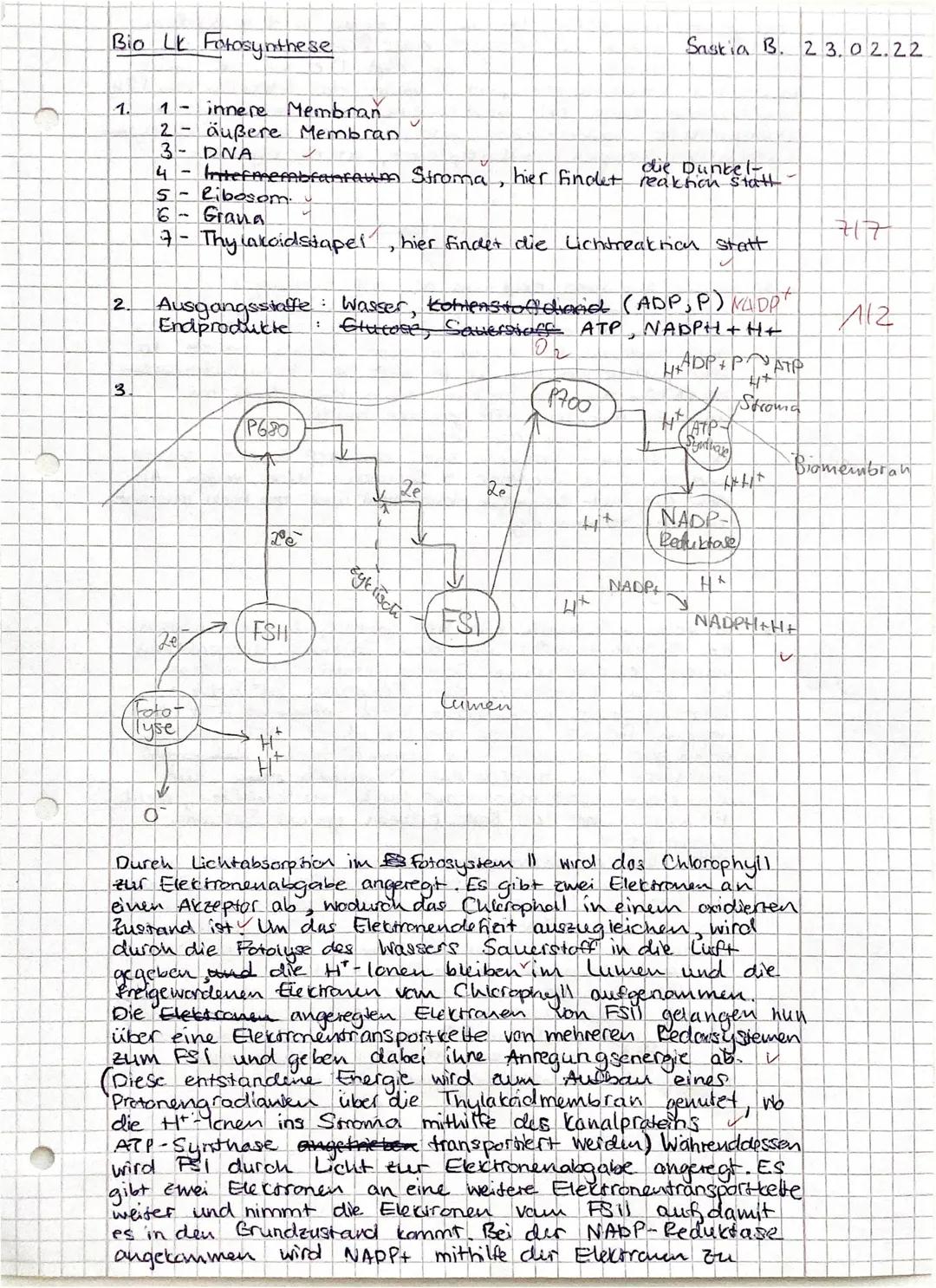 Saskia

# Test im Fach Biologie

M Fotosynthese

Prüfungen:
Klassenarbeiten

Die Fotosynthese der grünen Pflanzen ist von elementarer Bedeut