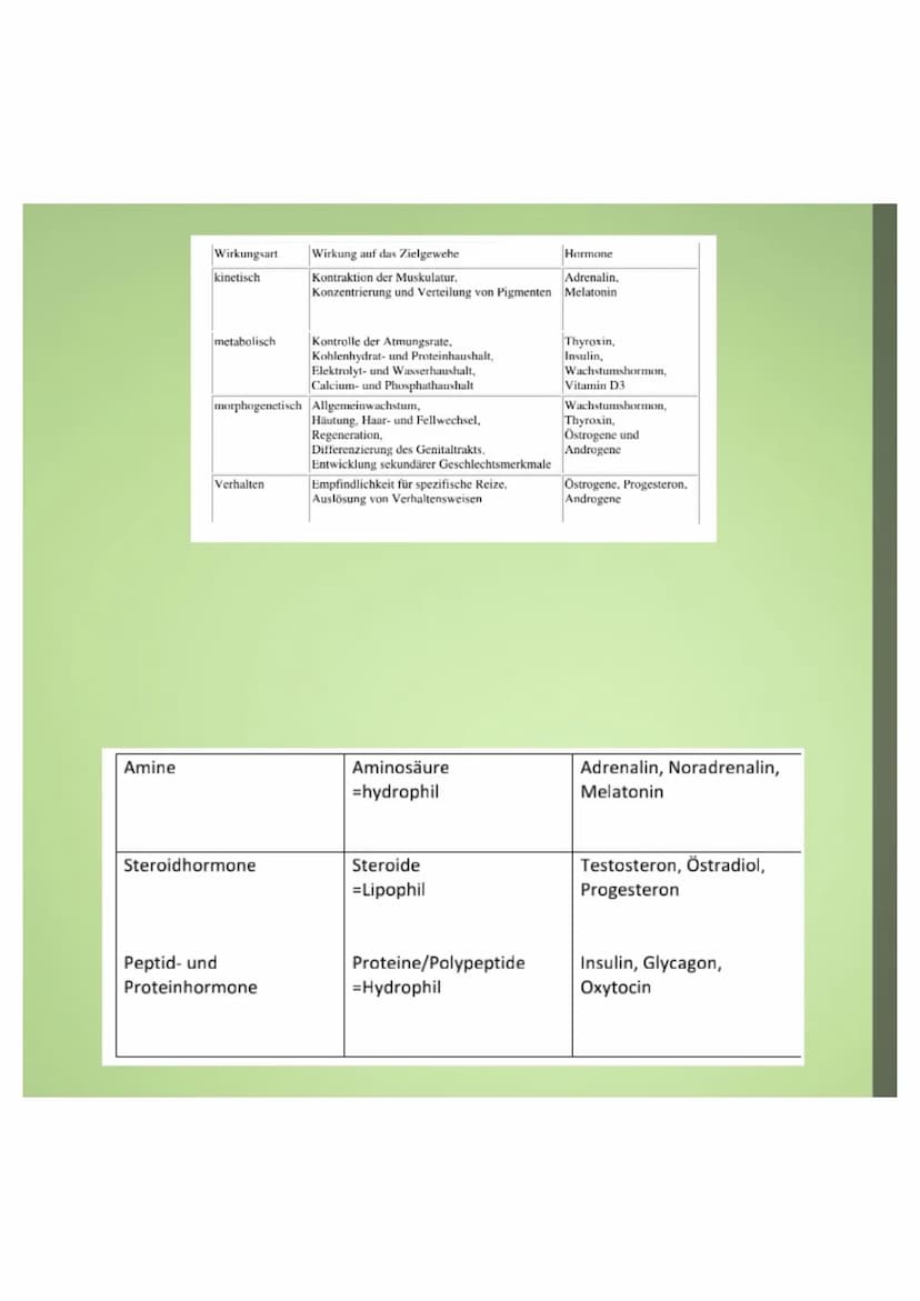 1.Hormone
1.1. Definition
-chemische Signal- und Botenstoffe
-übermitteln Informationen und
regeln wichtige Vorgänge
1.2.Klassifizierung
-Un