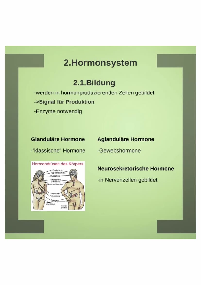1.Hormone
1.1. Definition
-chemische Signal- und Botenstoffe
-übermitteln Informationen und
regeln wichtige Vorgänge
1.2.Klassifizierung
-Un