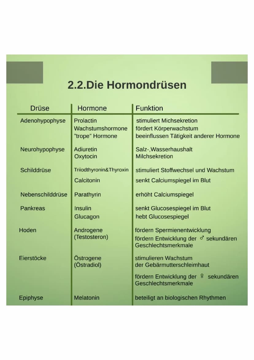 1.Hormone
1.1. Definition
-chemische Signal- und Botenstoffe
-übermitteln Informationen und
regeln wichtige Vorgänge
1.2.Klassifizierung
-Un