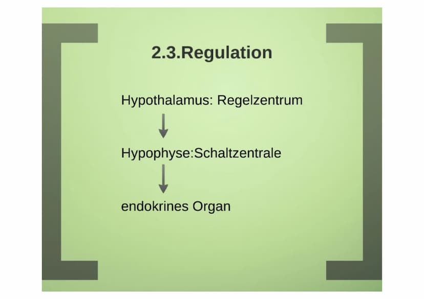 1.Hormone
1.1. Definition
-chemische Signal- und Botenstoffe
-übermitteln Informationen und
regeln wichtige Vorgänge
1.2.Klassifizierung
-Un