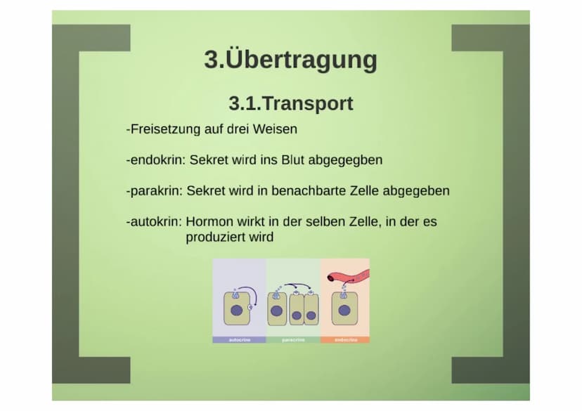 1.Hormone
1.1. Definition
-chemische Signal- und Botenstoffe
-übermitteln Informationen und
regeln wichtige Vorgänge
1.2.Klassifizierung
-Un