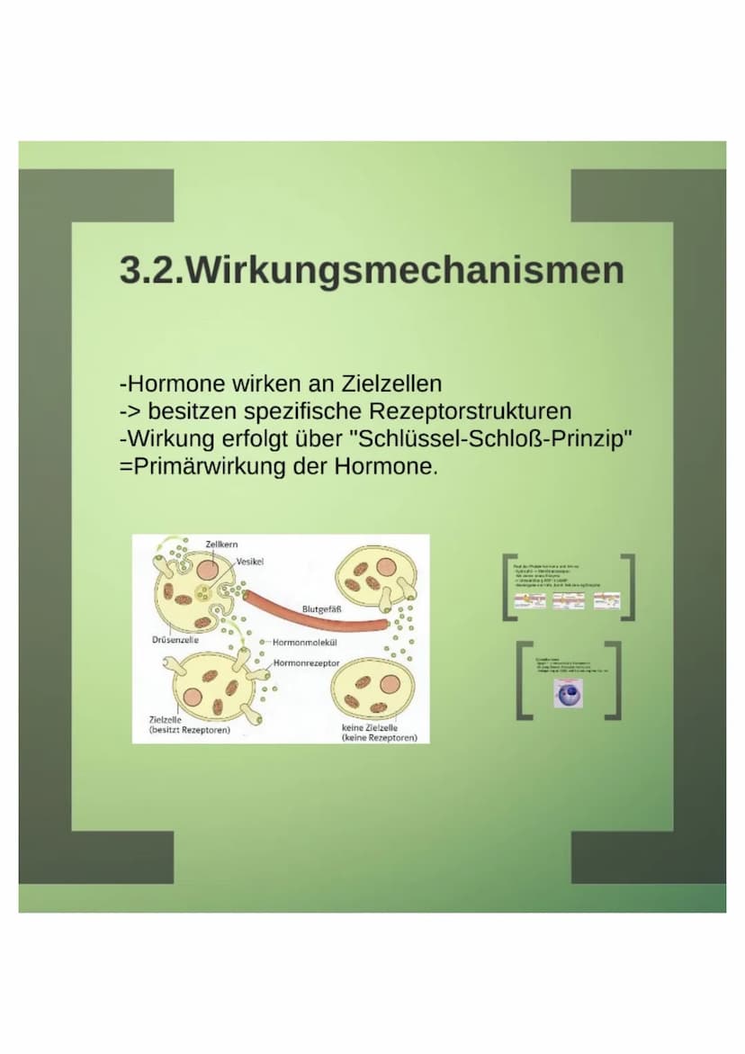 1.Hormone
1.1. Definition
-chemische Signal- und Botenstoffe
-übermitteln Informationen und
regeln wichtige Vorgänge
1.2.Klassifizierung
-Un