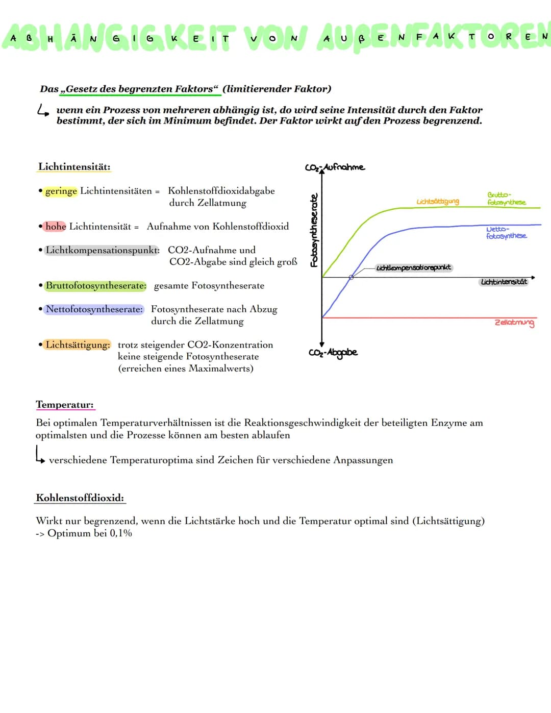 ROPLAST
●
CHLORO
Granum
Äußere Membran
Innere Membran
Fetttröpfchen
Thylakoid
Stärkekorn
Ribosom
DNA
Stroma
Aufbau Chloroplasten:
Hülle aus 