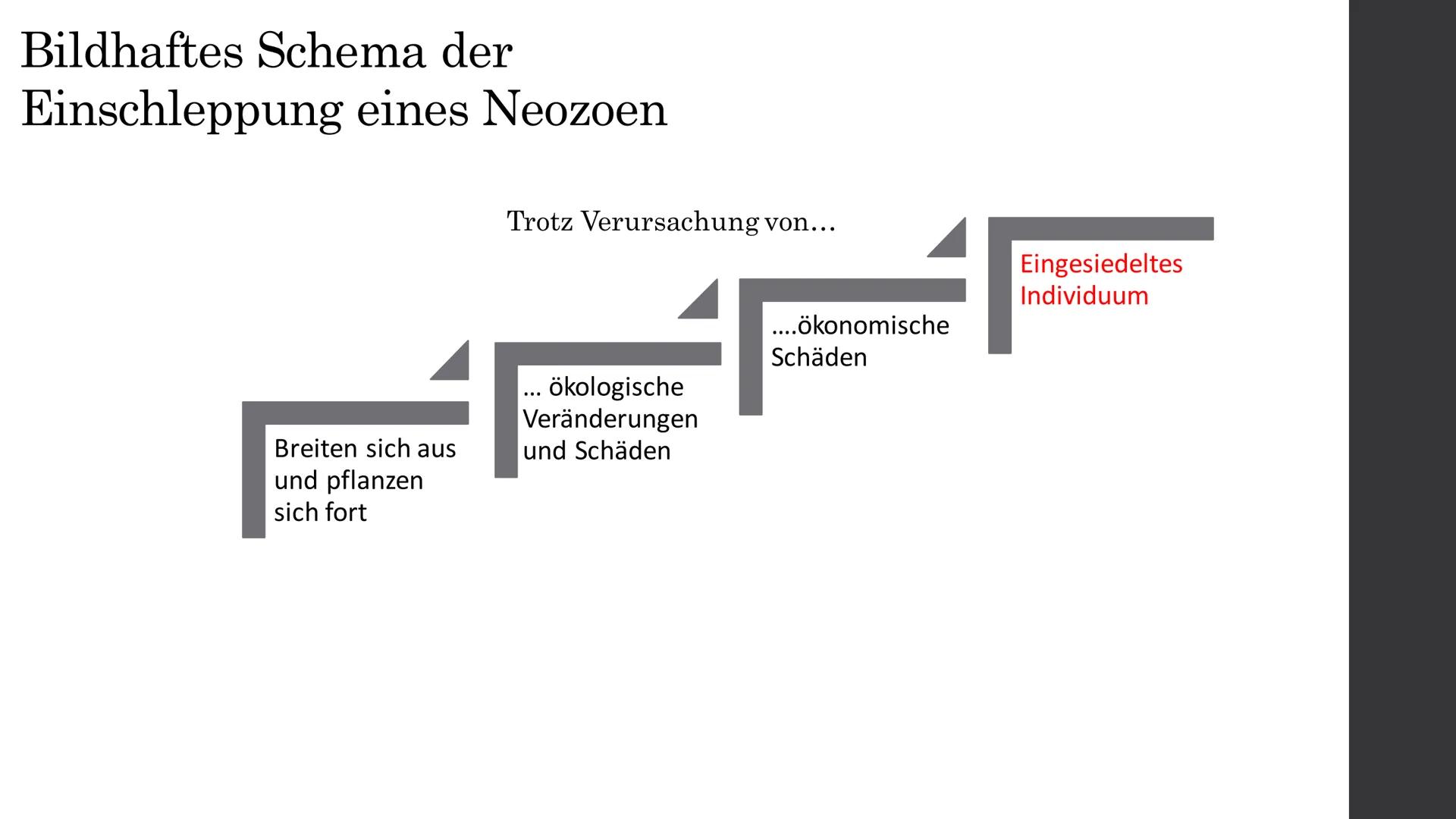 Wie es tatsächlich aussieht
38 (2%)
354 (17%)
Pilze
Wirbellose
Wirbeltiere 100 (5%)
Pflanzen
1611 (76%)
2103
13 (16%)
(25%)
(59%)
Pilze
Wirb