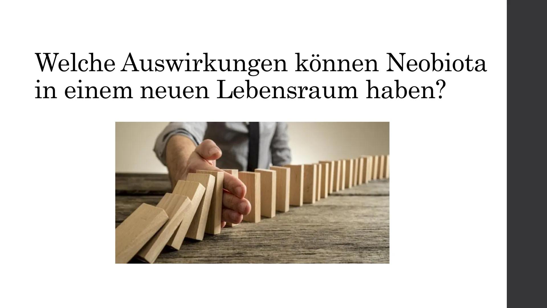 Wie es tatsächlich aussieht
38 (2%)
354 (17%)
Pilze
Wirbellose
Wirbeltiere 100 (5%)
Pflanzen
1611 (76%)
2103
13 (16%)
(25%)
(59%)
Pilze
Wirb