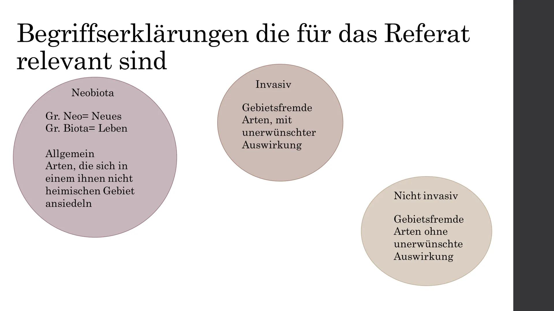 Wie es tatsächlich aussieht
38 (2%)
354 (17%)
Pilze
Wirbellose
Wirbeltiere 100 (5%)
Pflanzen
1611 (76%)
2103
13 (16%)
(25%)
(59%)
Pilze
Wirb