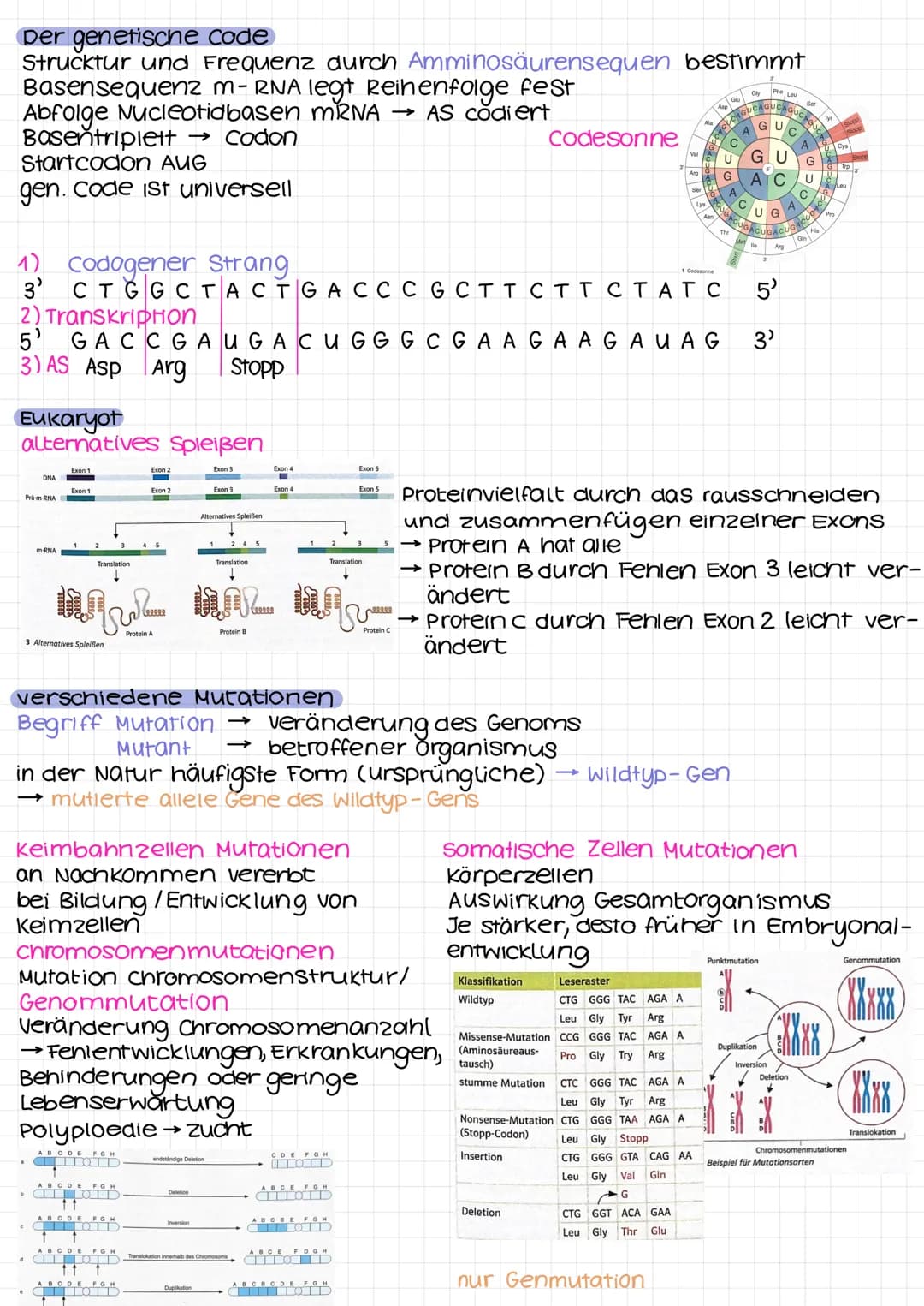 DNA
Desoxyribonukleinsäure
Desoxyribose/
Phosphat
DVD I
Adenin
Thymin
Guanin
-Cytosin
RNA-DNA
Eigenschaft
zucker
2. C-Atom
Pyrimidinbase
str