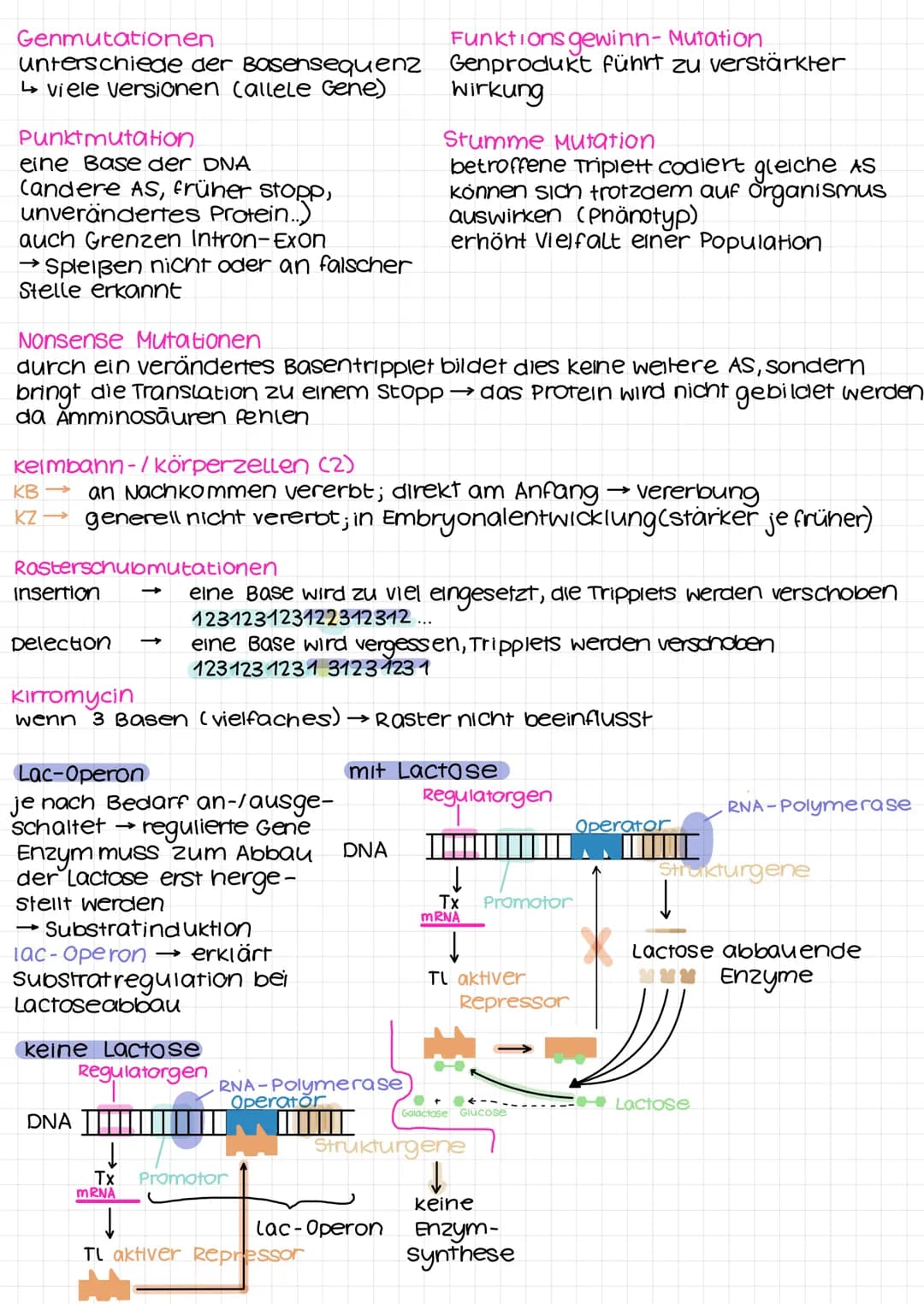 DNA
Desoxyribonukleinsäure
Desoxyribose/
Phosphat
DVD I
Adenin
Thymin
Guanin
-Cytosin
RNA-DNA
Eigenschaft
zucker
2. C-Atom
Pyrimidinbase
str