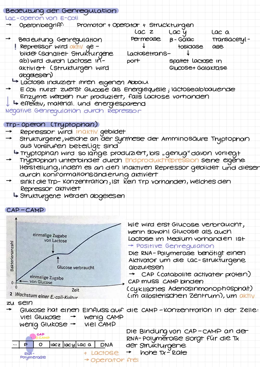 DNA
Desoxyribonukleinsäure
Desoxyribose/
Phosphat
DVD I
Adenin
Thymin
Guanin
-Cytosin
RNA-DNA
Eigenschaft
zucker
2. C-Atom
Pyrimidinbase
str