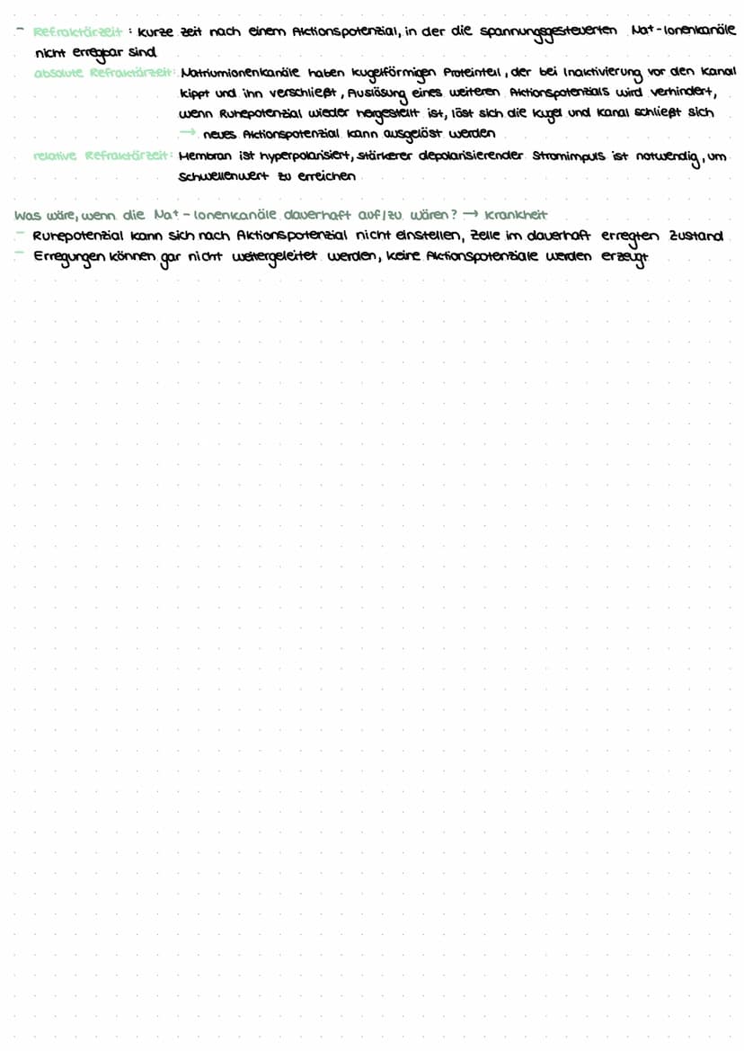 revvergeller und reversysteme
Nervensystem: rasche Informationsverarbeitung, gezielte Fortbewegung
Nervenzellen / Neurone: grundlegende Baue