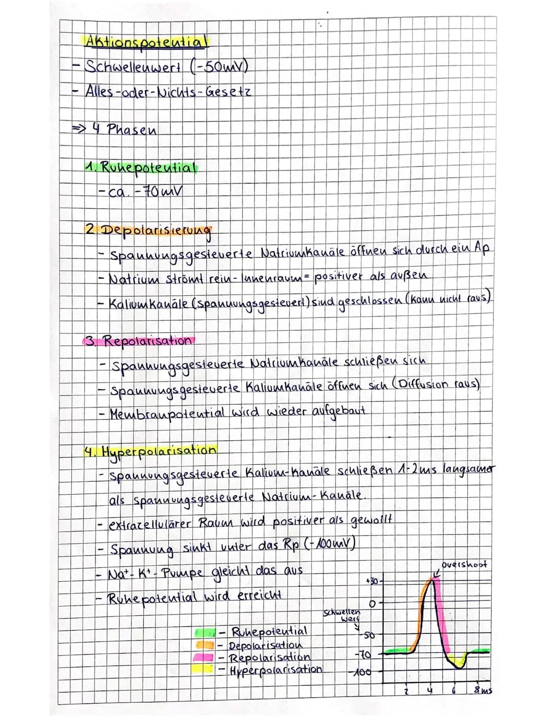 GLOSSAR
Neuronen
Rezeptor
afferent
efferent
Effekter
vegetativ
Sympathikus
Parasympathikus
Synapse
Gliarellen
Schwann Zellen
Dendriten
Axon
