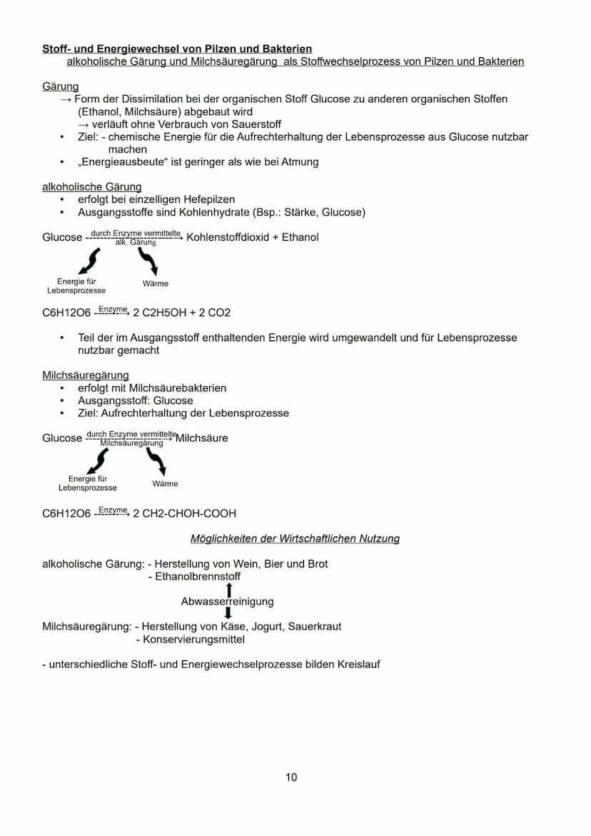 Schwerpunkte der BLF in Biologie 2023
Inhaltsverzeichnis:
1. Lebensprozesse von grünen Pflanzen, Pilzen und Bakterien
- ausgewählte Funktion