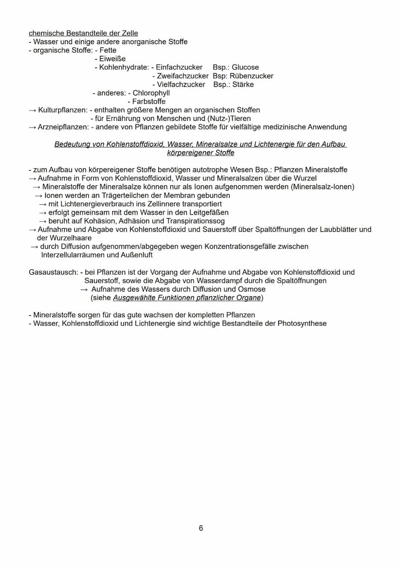 Schwerpunkte der BLF in Biologie 2023
Inhaltsverzeichnis:
1. Lebensprozesse von grünen Pflanzen, Pilzen und Bakterien
- ausgewählte Funktion