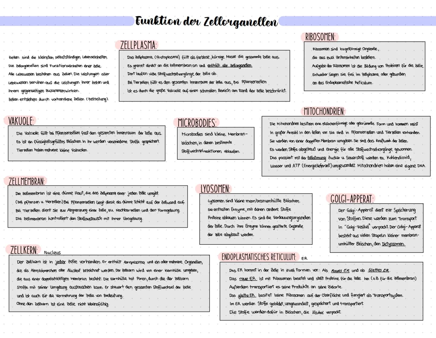Pflanzenzelle und Tierzelle
Pflanzenzelle (Eucyte)
Tierzelle
armw
Zelltyp
gemeinsame
Zellorganellen
Chloroplasten
ܩܩ
Lysosomen
Vakuolen
Zell