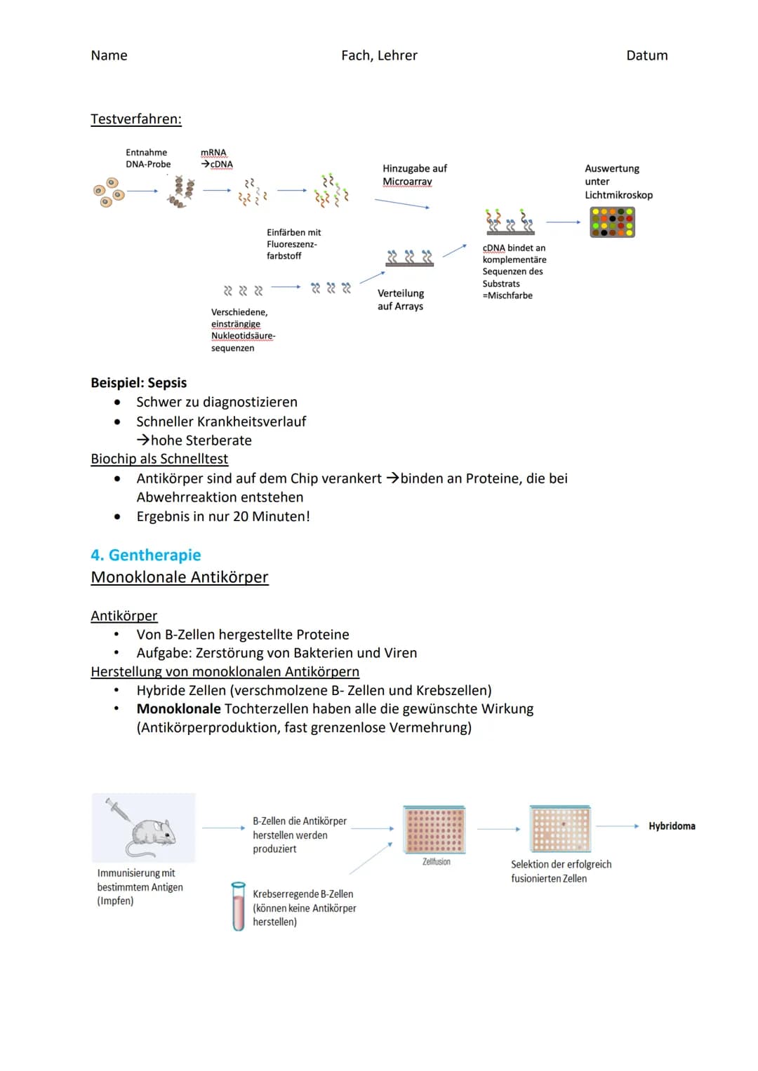 Contour TS
Name
18.4.8
PAR999PRIN
Gentechnik in der Medizin Name
Gentechnik in der Medizin
Geschichte
Allgemeines
Rote Gentechnik (=Entschlü