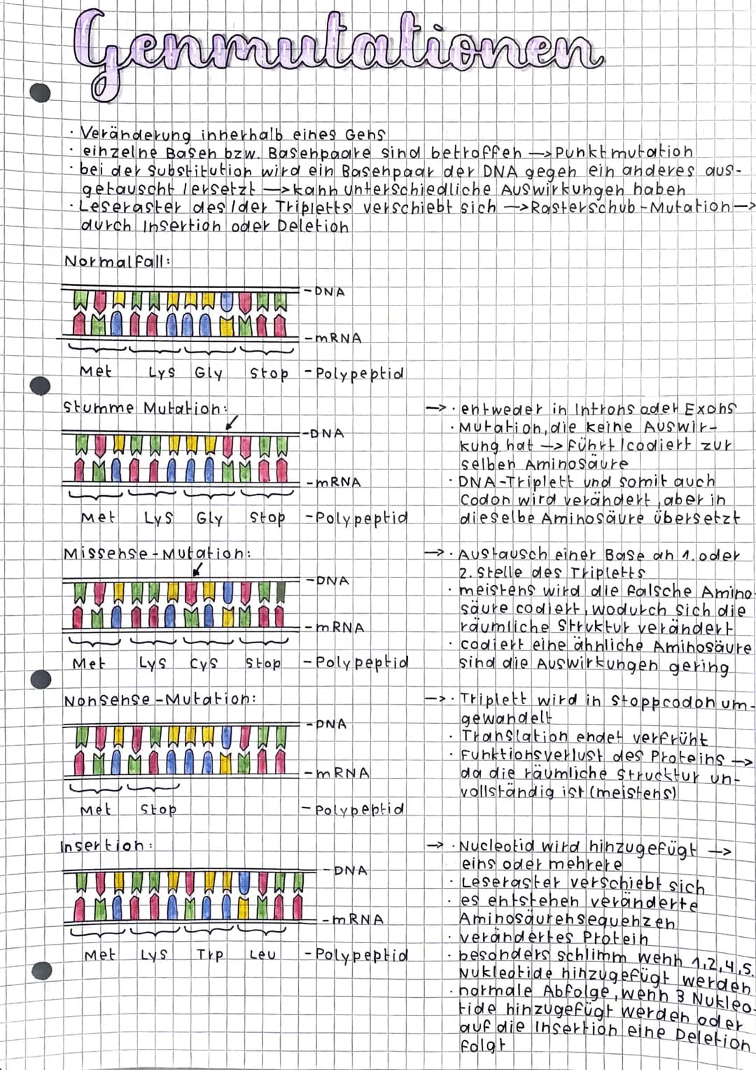 Genrutationen
Veränderung innerhalb eines Gens
einzelne Basen bzw. Basehpaare sind betroffen -> Punktmutation
bei der Substitution wird ein 