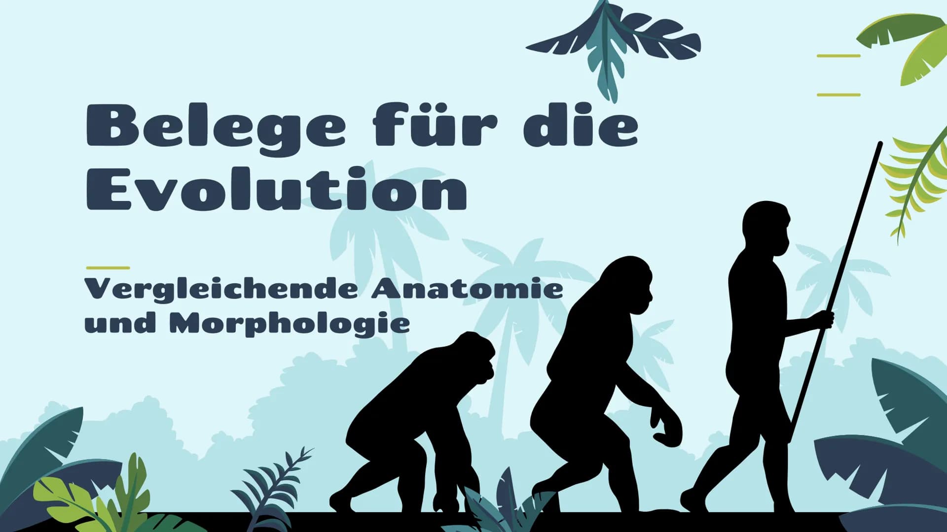 Belege für die
Evolution
st
Vergleichende Anatomie
und Morphologie 01
02
03
Homologie
Kriterien
Wirbeltiere
Pflanzen & Insekten
Analogie &
K