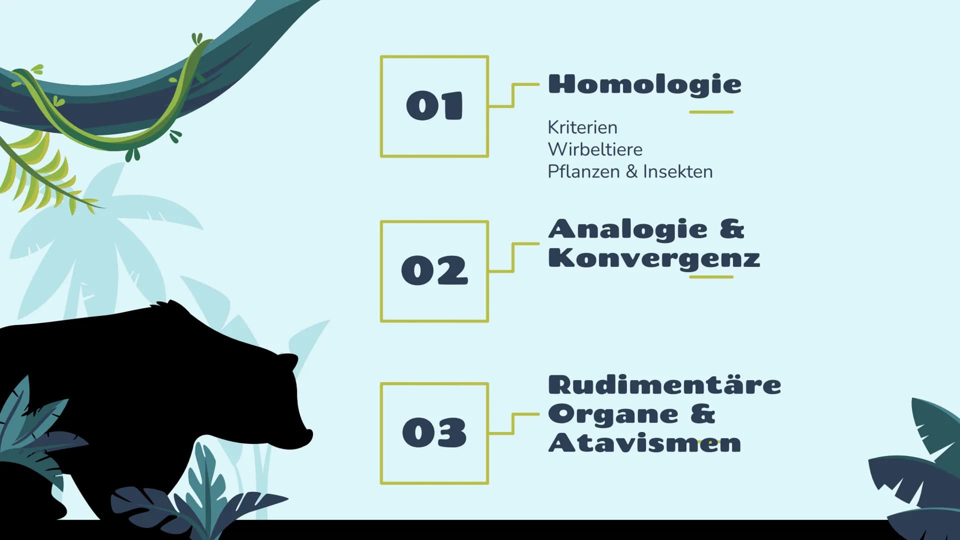 Belege für die
Evolution
st
Vergleichende Anatomie
und Morphologie 01
02
03
Homologie
Kriterien
Wirbeltiere
Pflanzen & Insekten
Analogie &
K