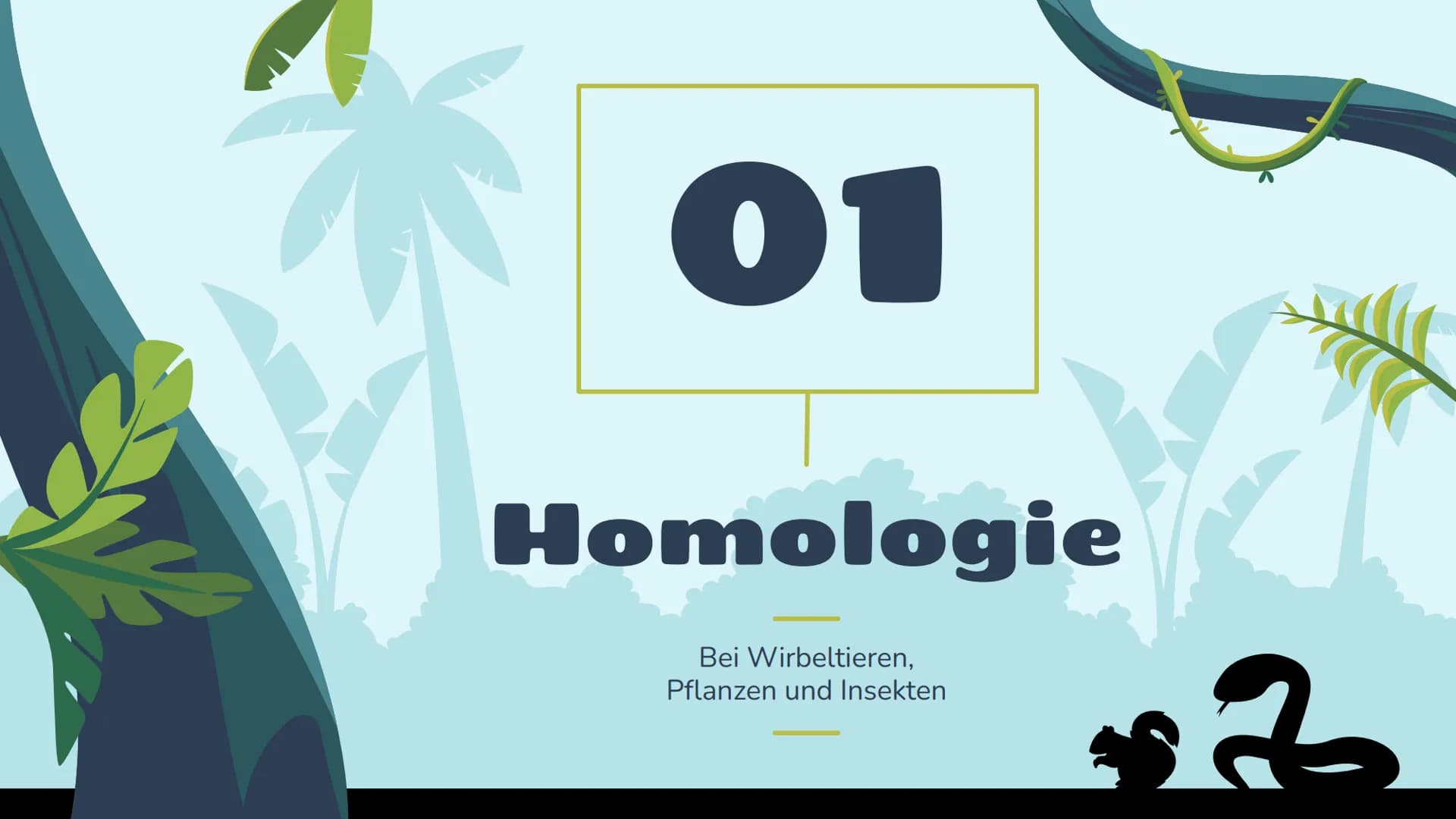Belege für die
Evolution
st
Vergleichende Anatomie
und Morphologie 01
02
03
Homologie
Kriterien
Wirbeltiere
Pflanzen & Insekten
Analogie &
K