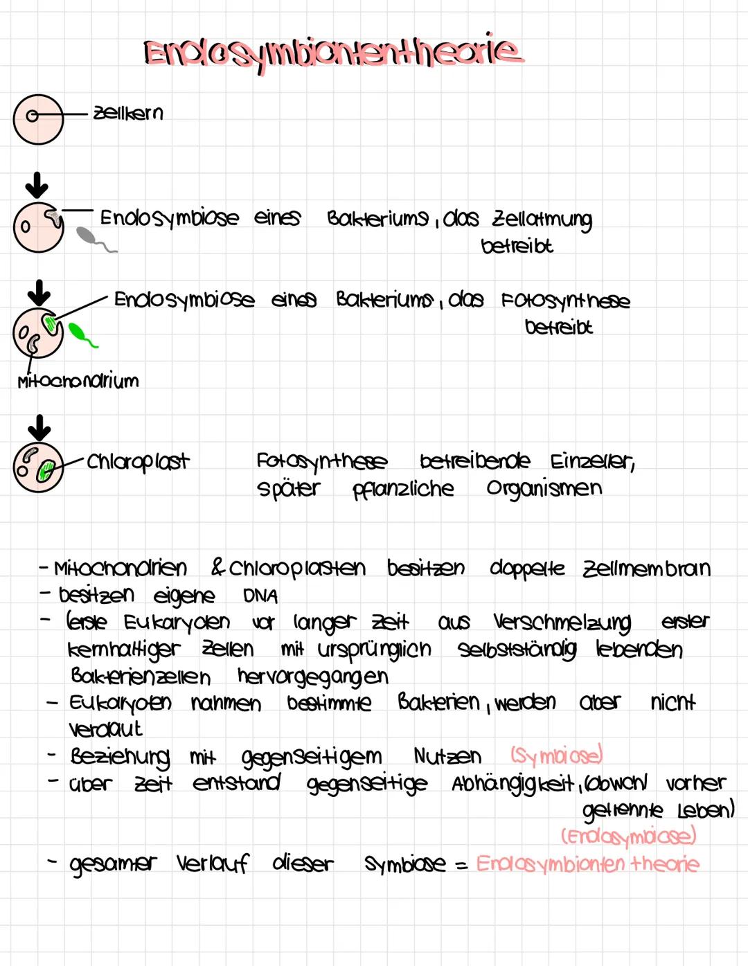 1.
Tierzelle
Zellkern.
Nuclealus.
Cytoplasma,
Ly 9000m
Biologie
Zellwand
-
klausur Nr. A
Chloroplast
zell membran
2. Pflanzenzelle Nucleolus