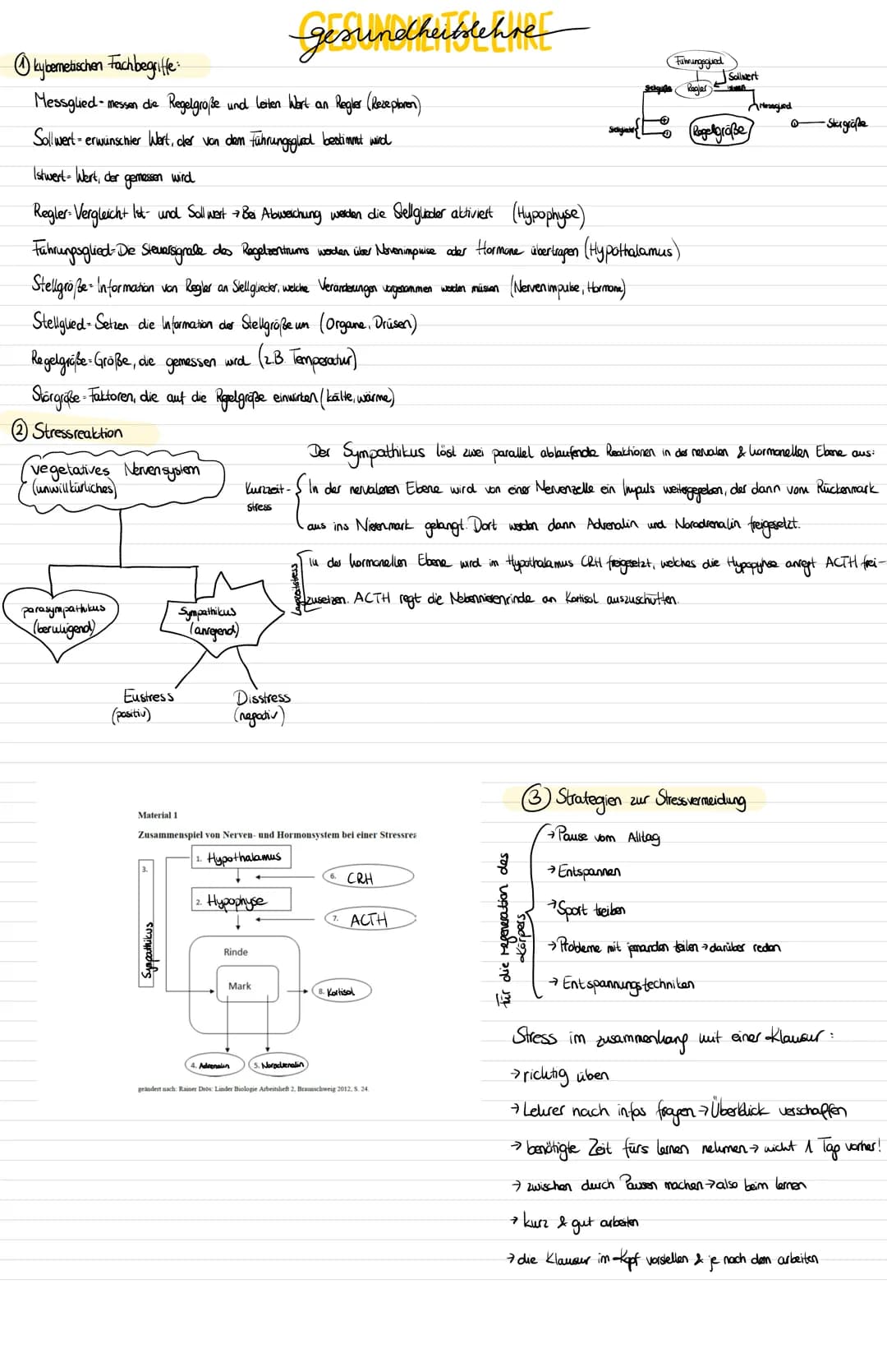 GL-Klausur II Segunda E
Kann-Liste BG12
2. Klausur Q1
Themengebiet: Hormoneller Regelkreis, Stressreaktion, Antagonistenprinzip
Ich kann...
