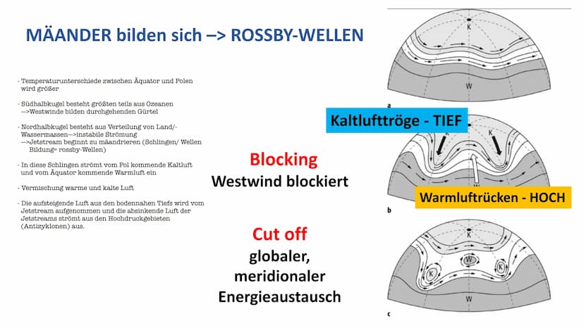 KALT
WARM
Außertropische Zirkulation Außertropische Westwindzone
• befindet sich in der planetarischen Frontalzone
zwischen etwa 30° und 60°