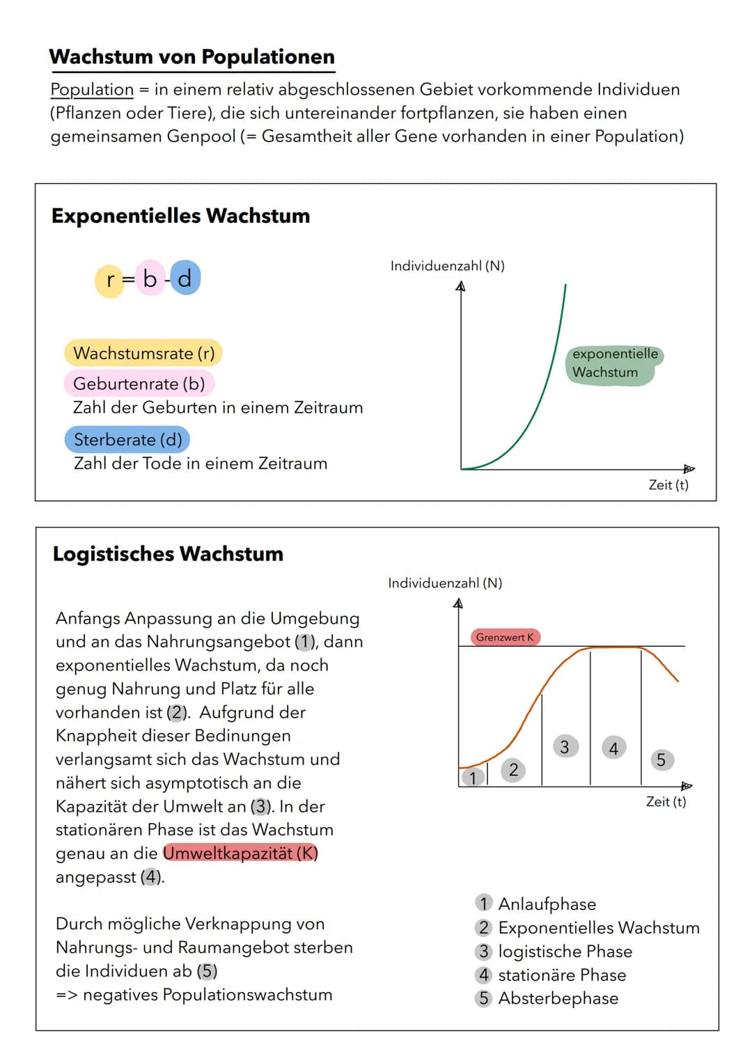 Wachstum von Populationen
Population in einem relativ abgeschlossenen Gebiet vorkommende Individuen
(Pflanzen oder Tiere), die sich unterein