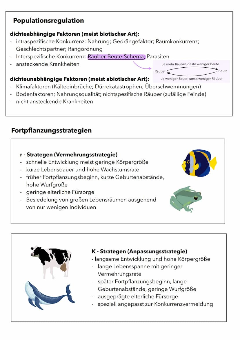 Wachstum von Populationen
Population in einem relativ abgeschlossenen Gebiet vorkommende Individuen
(Pflanzen oder Tiere), die sich unterein