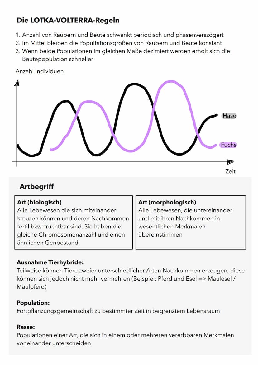 Wachstum von Populationen
Population in einem relativ abgeschlossenen Gebiet vorkommende Individuen
(Pflanzen oder Tiere), die sich unterein