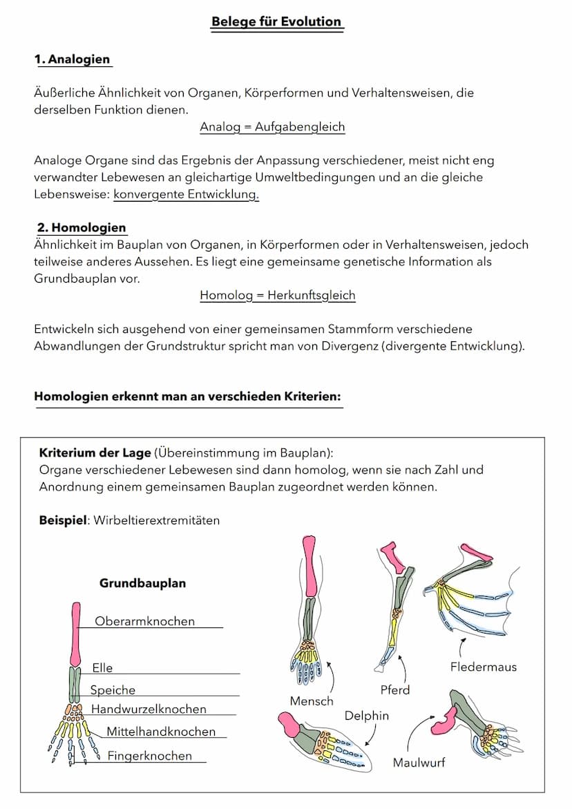Wachstum von Populationen
Population in einem relativ abgeschlossenen Gebiet vorkommende Individuen
(Pflanzen oder Tiere), die sich unterein