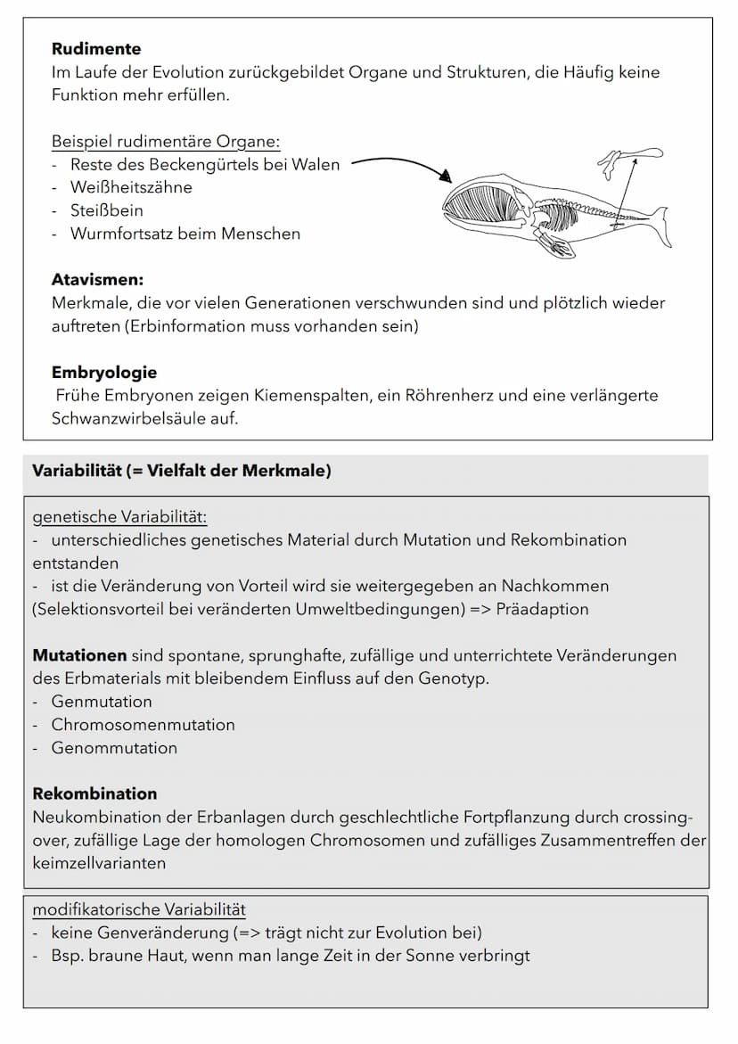Wachstum von Populationen
Population in einem relativ abgeschlossenen Gebiet vorkommende Individuen
(Pflanzen oder Tiere), die sich unterein