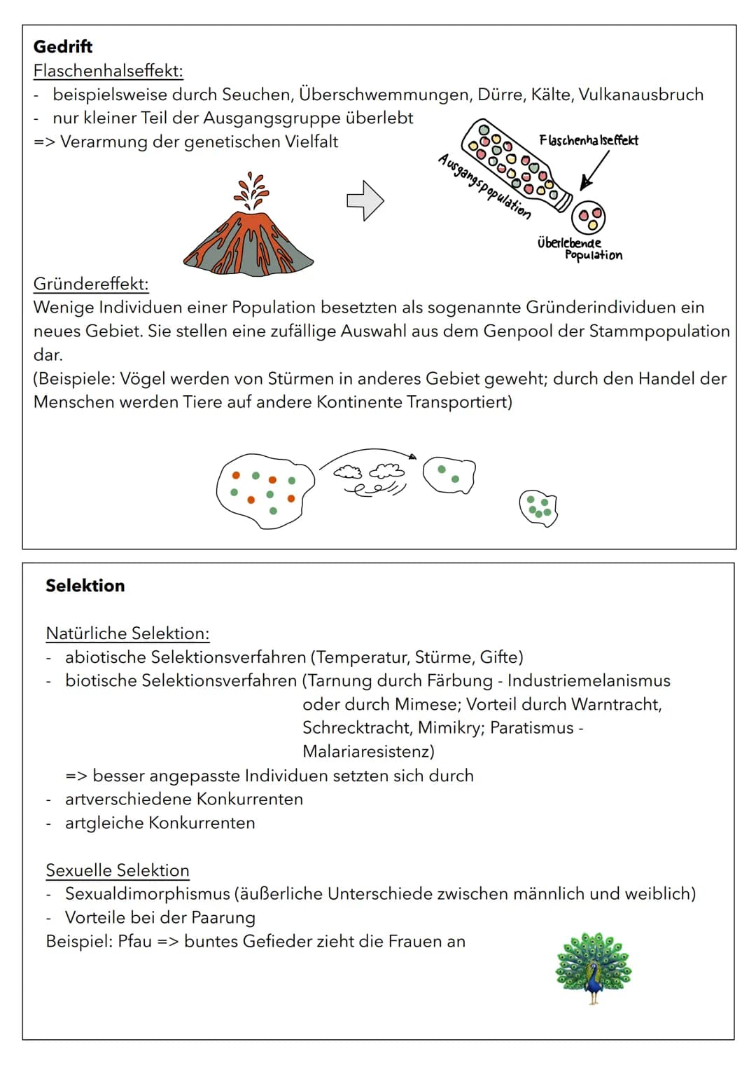 Wachstum von Populationen
Population in einem relativ abgeschlossenen Gebiet vorkommende Individuen
(Pflanzen oder Tiere), die sich unterein