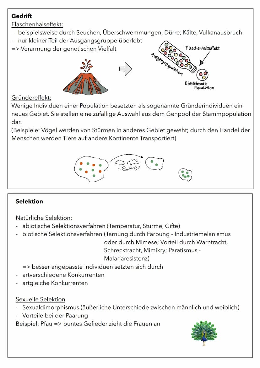 Wachstum von Populationen
Population in einem relativ abgeschlossenen Gebiet vorkommende Individuen
(Pflanzen oder Tiere), die sich unterein
