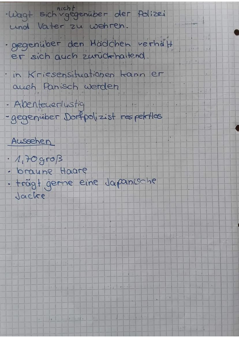 Soziale Umstände
lebt mit seinem Bruder
zusammen
Verhalten
·respectlos gegenüber
dem Lehrer u. Polizei
beachtet Mädchen nicht
· gegenüber Ma