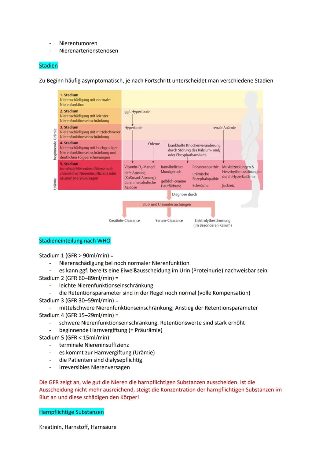 Examensthema: Terminale Niereninsuffizienz
Gliederung
Definition
Aufbau Niere
Funktion Niere
Ursache
Stadien (I care + WHO)
Harnpflichtige S