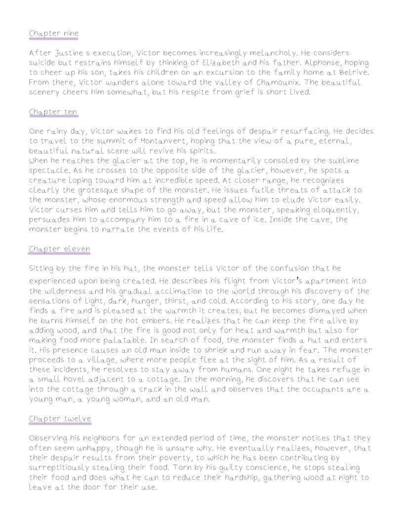 TRANKENSTEIN
Summary of the chapters (letters)
Letter one
The novel itself begins with a series of letters from the explorer Robert Walton t