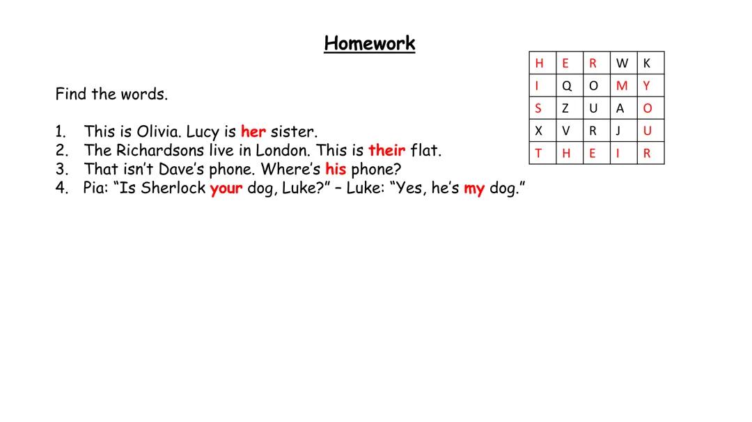 Fun Learning with Phonics and English for Grade 1 and 2