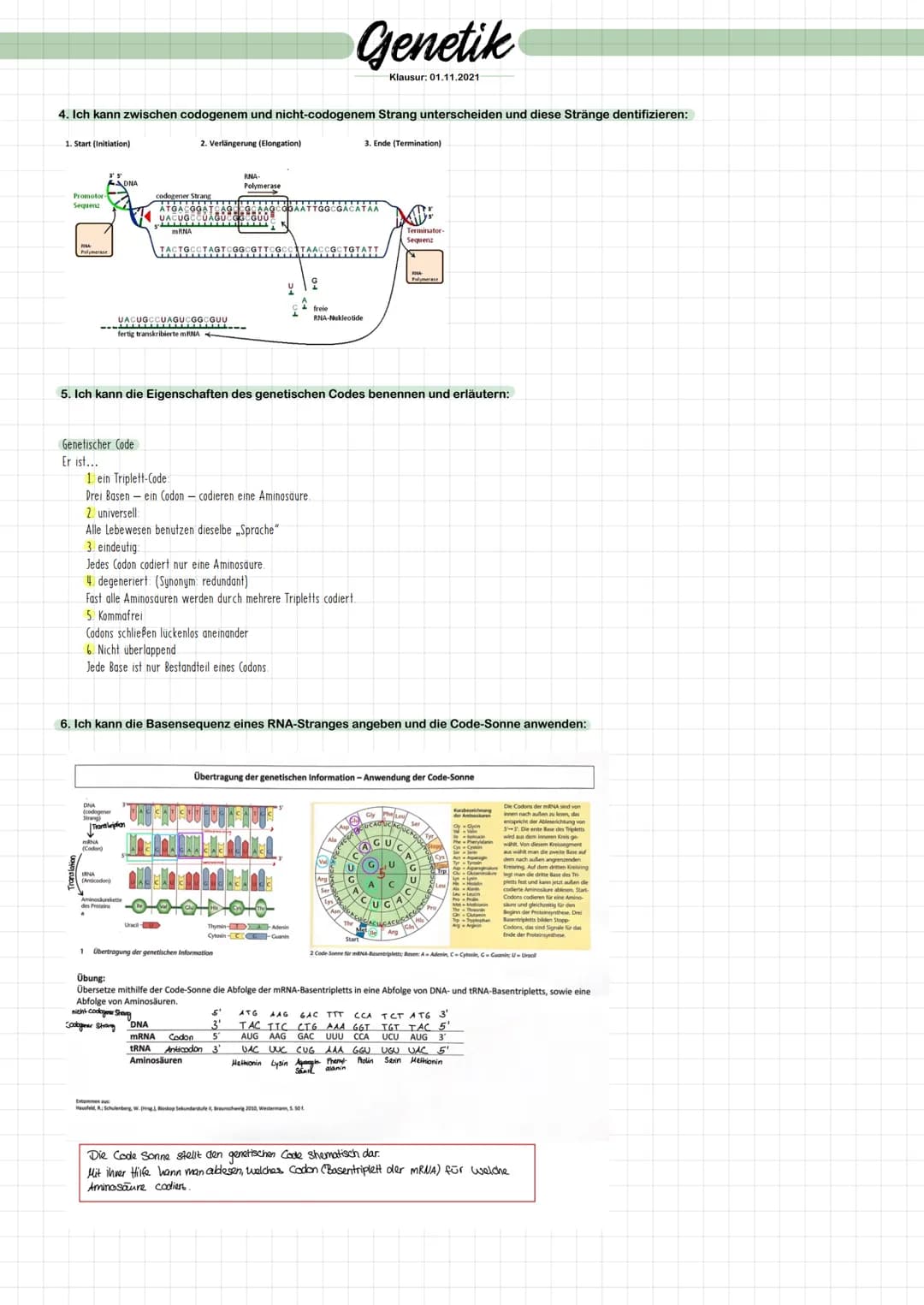CHROMOSOMEN UND DIE WEITERGABE GENETISCHER INFORMATIONEN:
1. Ich kann den Bau des Nucleus zeichnerisch darstellen und die Bestandteile benen