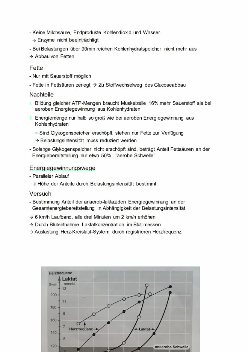Sport KA
Ausdauer
Ausdauertraining
Physischer Leistungsfaktor im Sport
Spezifische Optimierung
→ 200m Lauf: wie lange hohe Schrittschnelligk