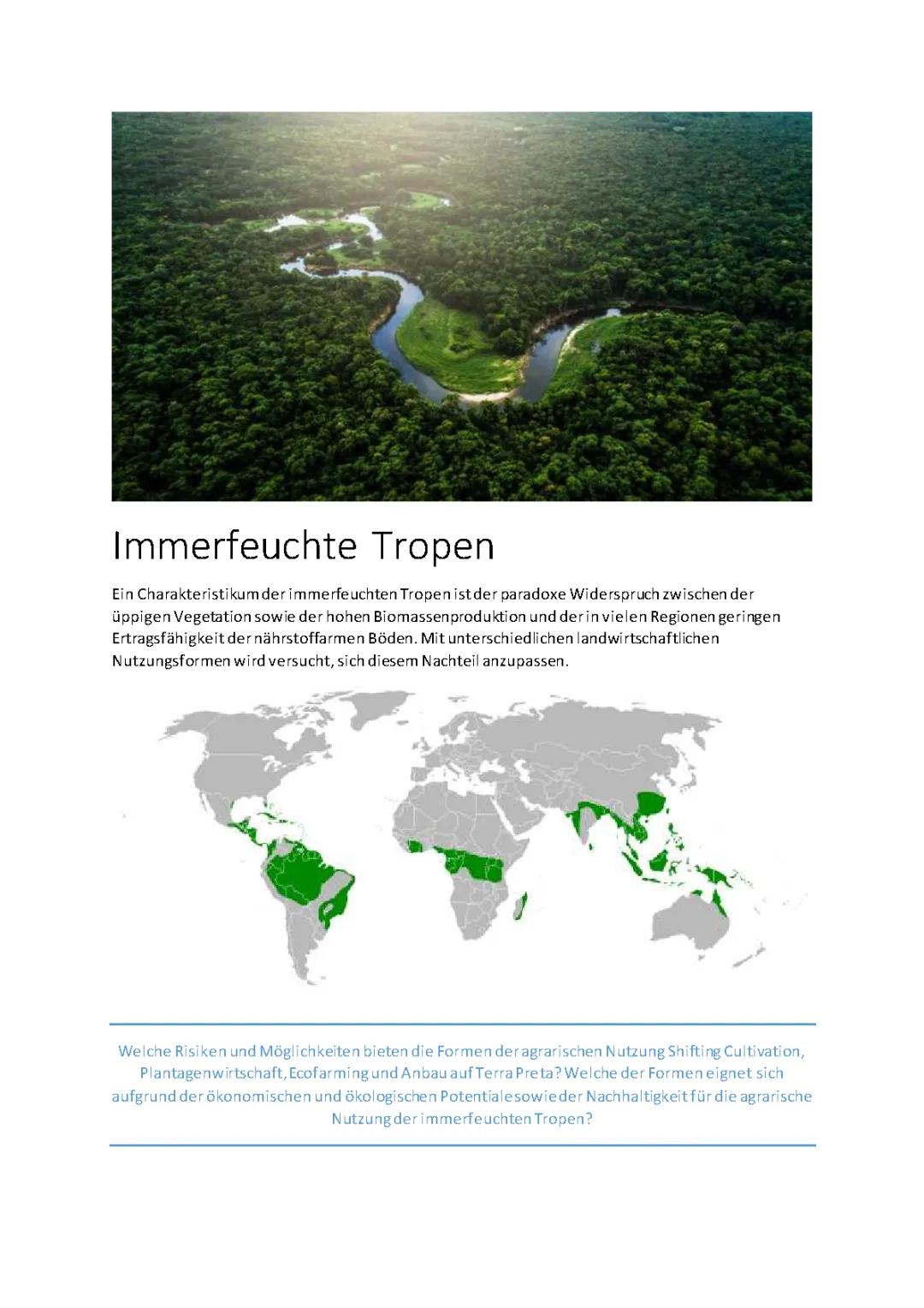 Entdecke die Immerfeuchten Tropen: Klima, Pflanzen und Shifting Cultivation