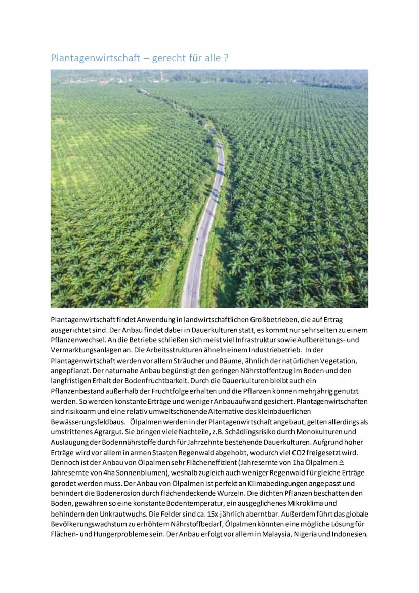 Immerfeuchte Tropen
Ein Charakteristikum der immerfeuchten Tropen ist der paradoxe Widerspruch zwischen der
üppigen Vegetation sowie der hoh