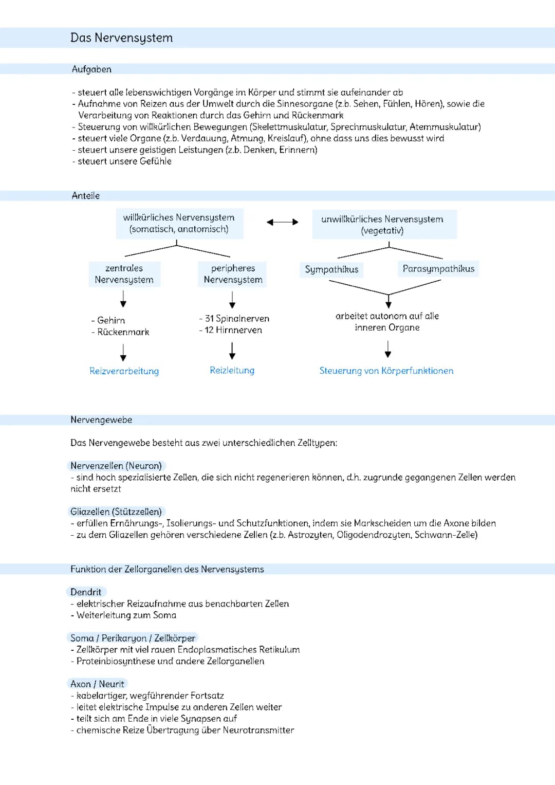 Nervensystem