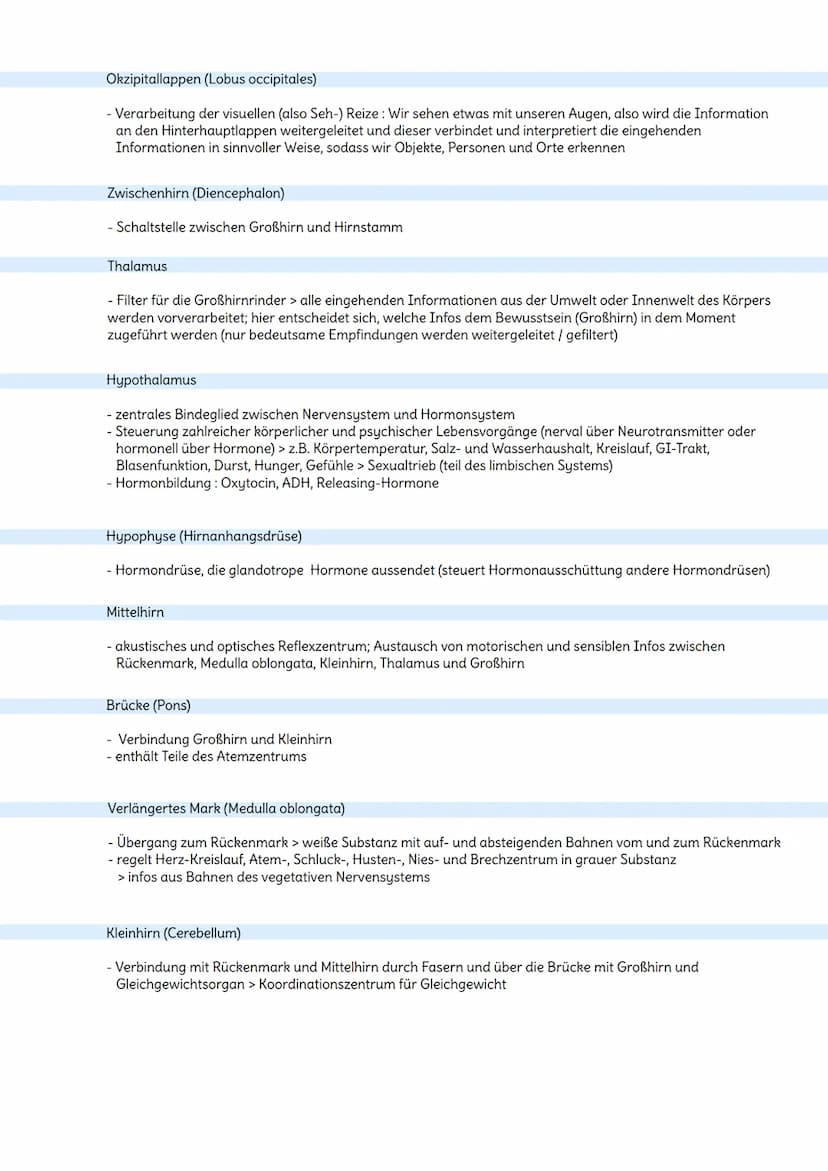 Das Nervensystem
Aufgaben
- steuert alle lebenswichtigen Vorgänge im Körper und stimmt sie aufeinander ab
- Aufnahme von Reizen aus der Umwe